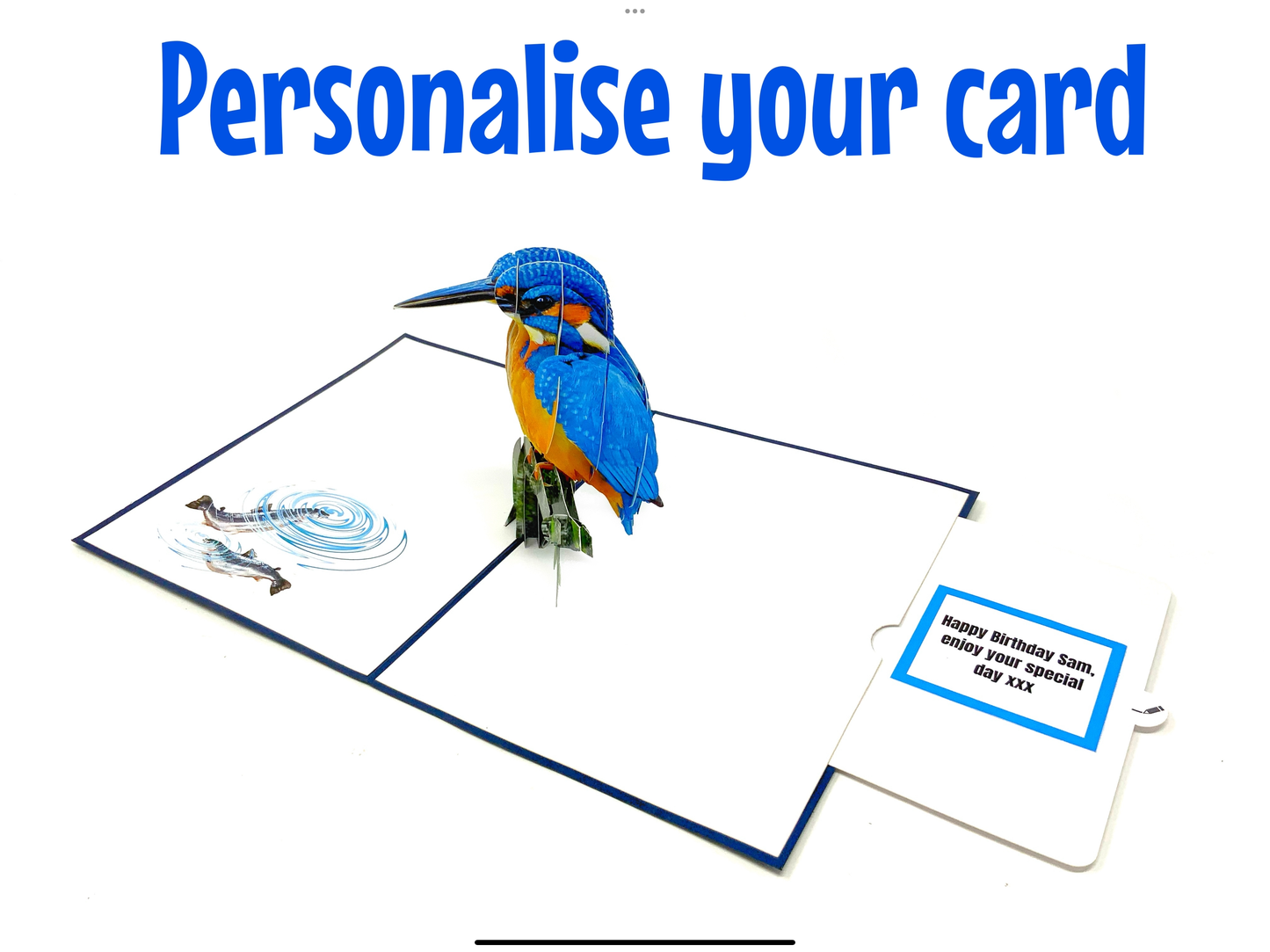 Kingfisher pop up card