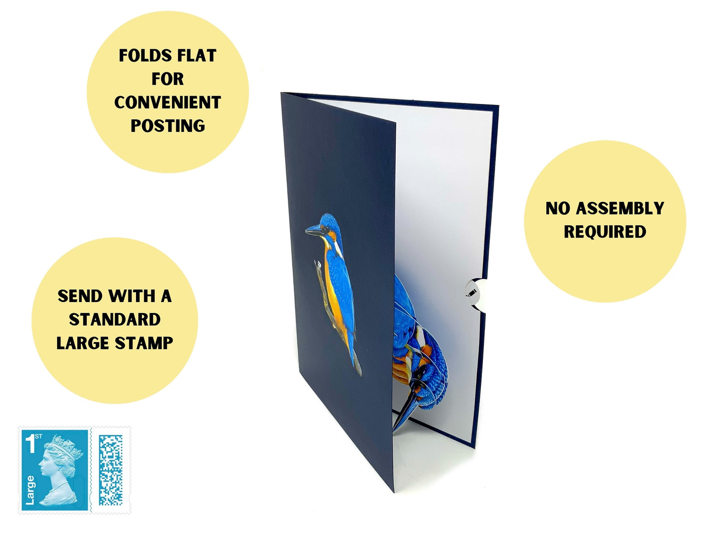 Kingfisher pop up card