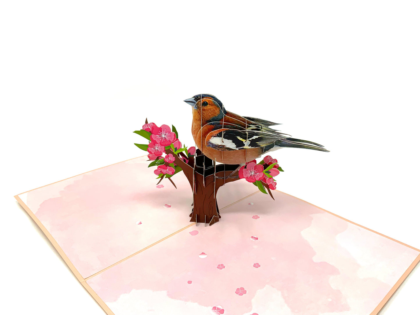 3D pop-up Chaffinch card: A beautifully crafted greeting card featuring a three-dimensional Chaffinch bird, showcasing intricate paper artistry and nature-inspired design."