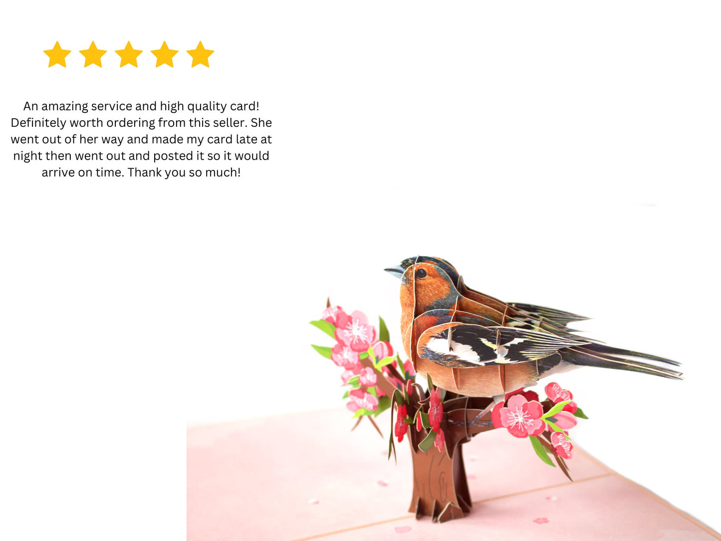 "3D Chaffinch greeting card featuring a lifelike bird design and an accompanying 5-star review, highlighting its exceptional quality and the admiration it has received."