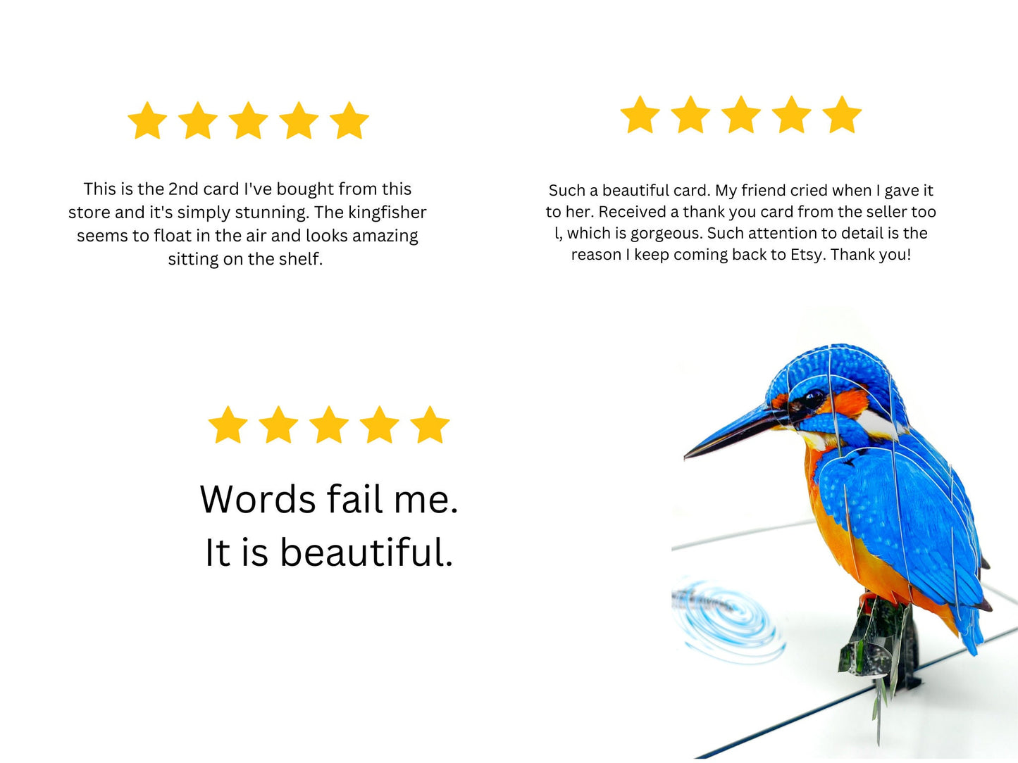 Kingfisher