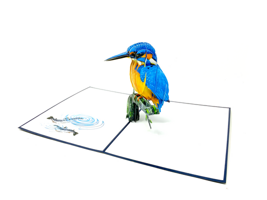 Kingfisher pop up card