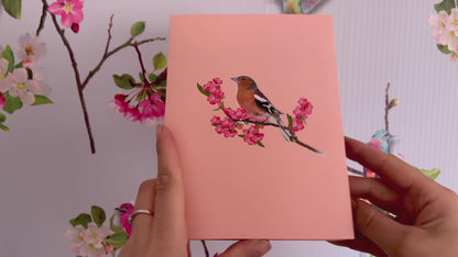 Chaffinch Pop Up Card