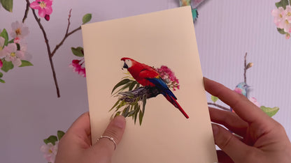 Parrot pop up card