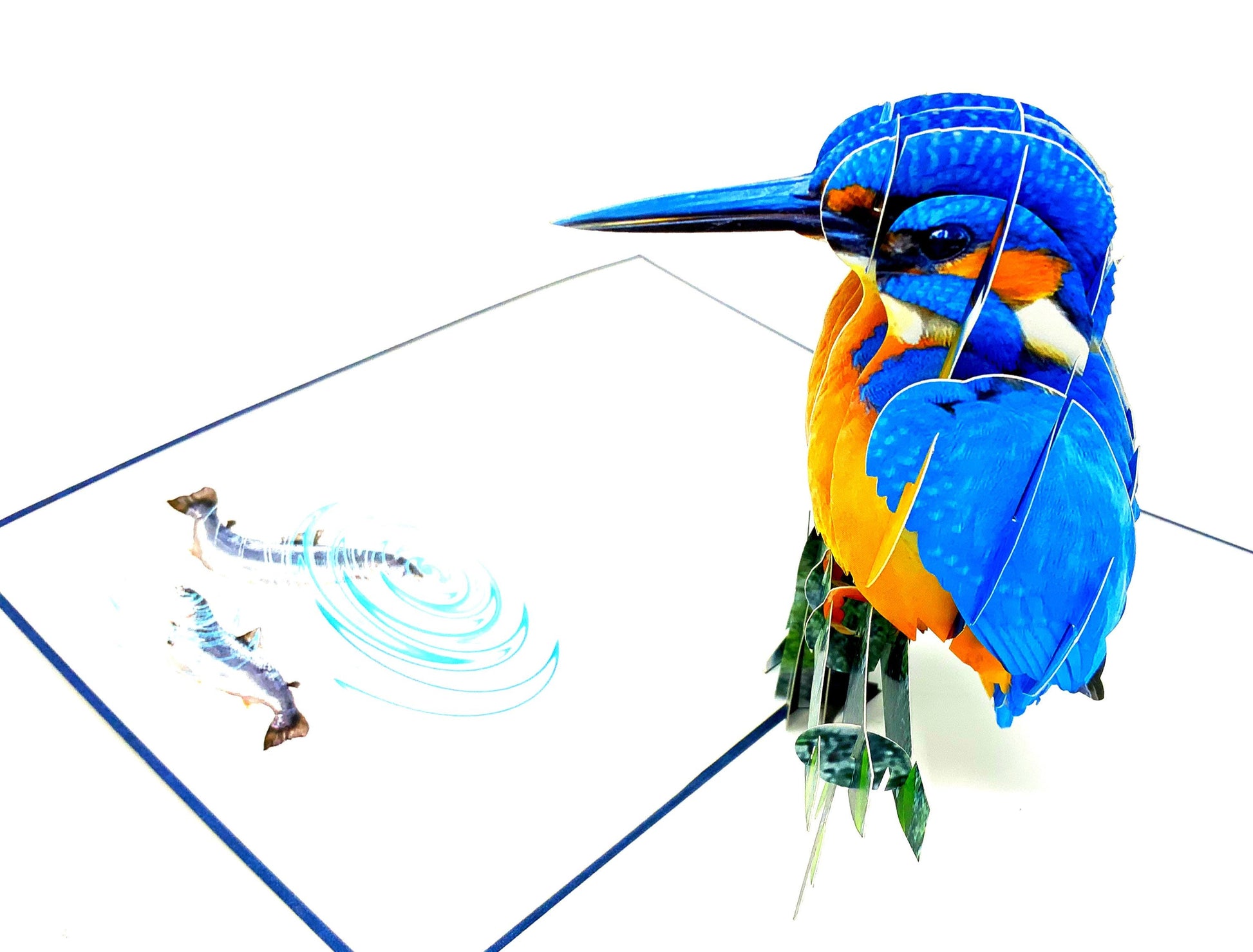 Kingfisher