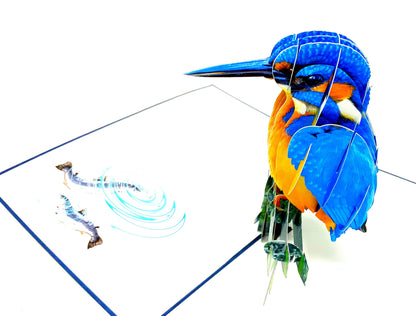 Kingfisher