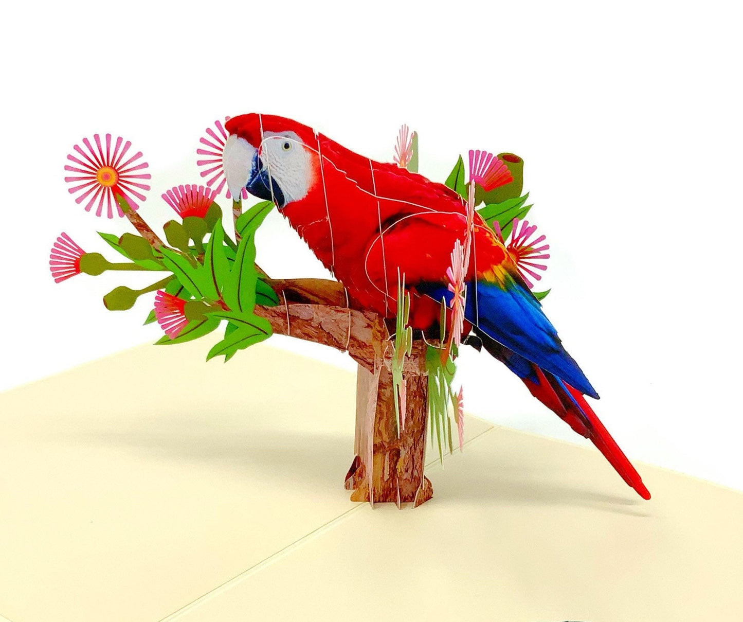 Personalised Parrot 3D Pop Up Greeting card, 3D Parrot card for him and her, laser cut- hand assembled, paper art, Make someone smile