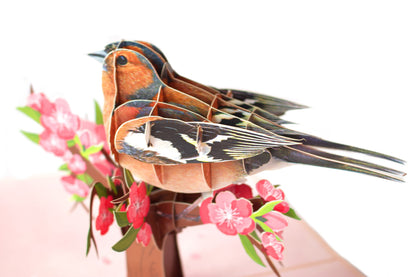 3D pop-up Chaffinch card: A beautifully crafted greeting card featuring a three-dimensional Chaffinch bird, showcasing intricate paper artistry and nature-inspired design.&quot;