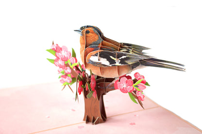 3D pop-up Chaffinch card: A beautifully crafted greeting card featuring a three-dimensional Chaffinch bird, showcasing intricate paper artistry and nature-inspired design.&quot;