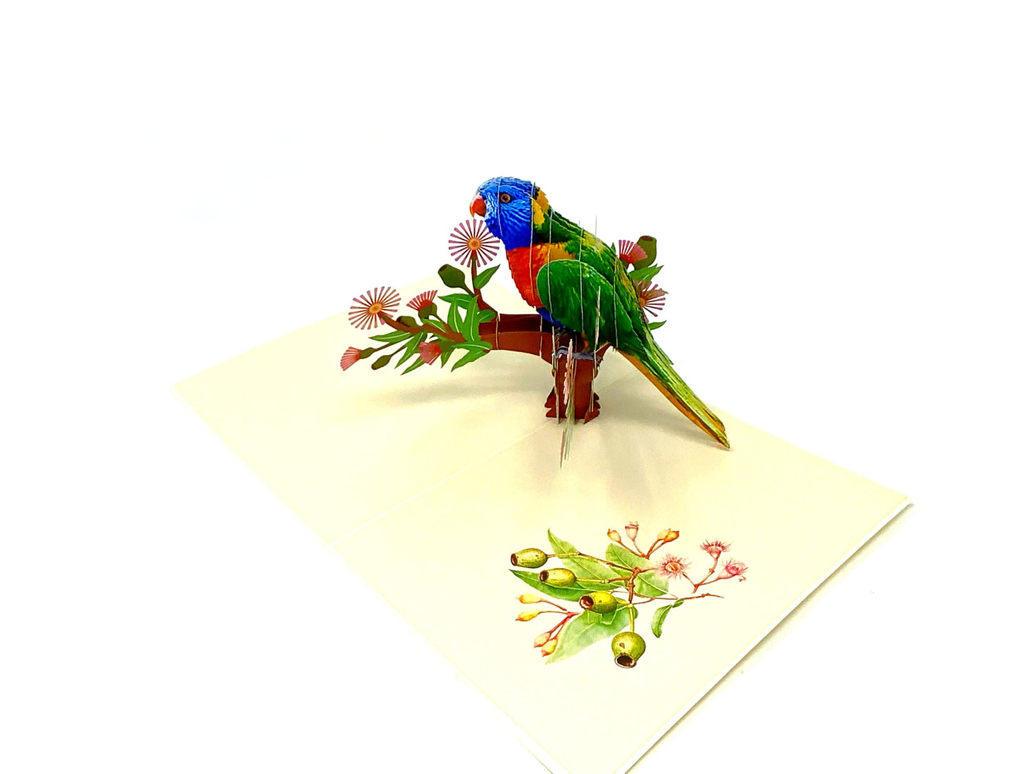 &quot;Rainbow Lorikeet pop-up card: A three-dimensional card with an intricately crafted pop-up scene featuring the vibrant and colorful Rainbow Lorikeet, perfect for nature enthusiasts and various occasions.&quot;