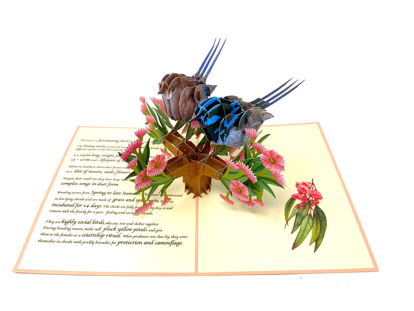 &quot;Inside of the educational wren pop-up card: A three-dimensional pop-up scene reveals a lifelike wren in its natural habitat, surrounded by detailed flora and informative text describing the bird&#39;s behavior and characteristics.&quot;