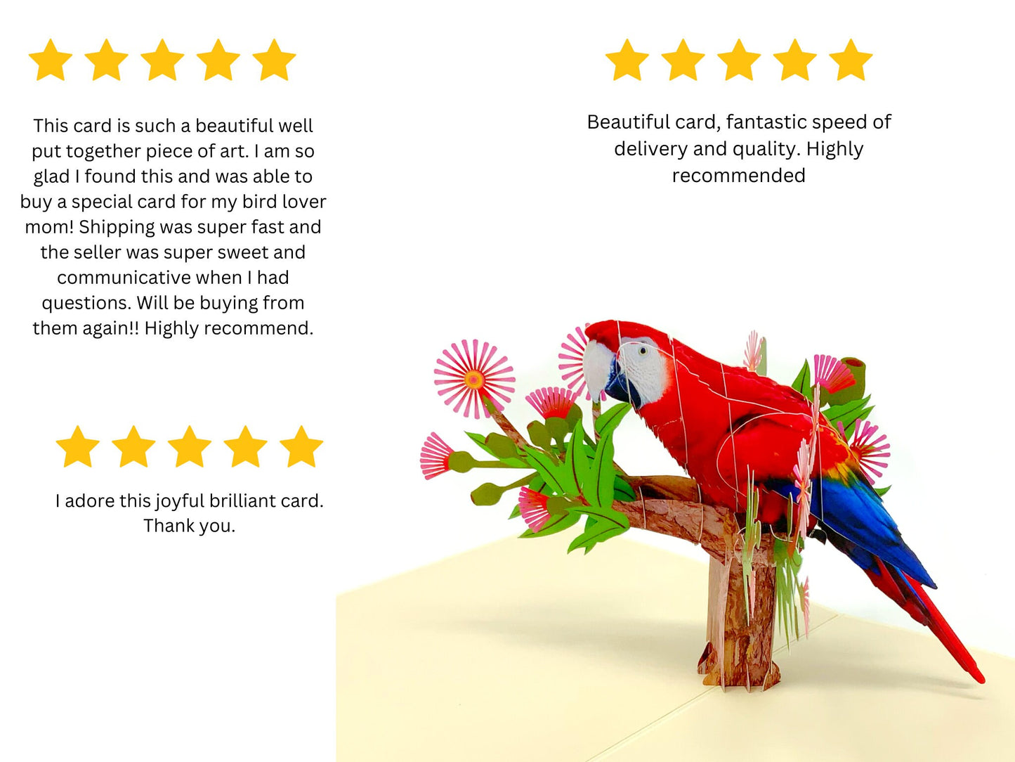 Personalised Parrot 3D Pop Up Greeting card, 3D Parrot card for him and her, laser cut- hand assembled, paper art, Make someone smile