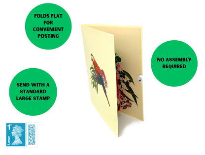 Personalised Parrot 3D Pop Up Greeting card, 3D Parrot card for him and her, laser cut- hand assembled, paper art, Make someone smile